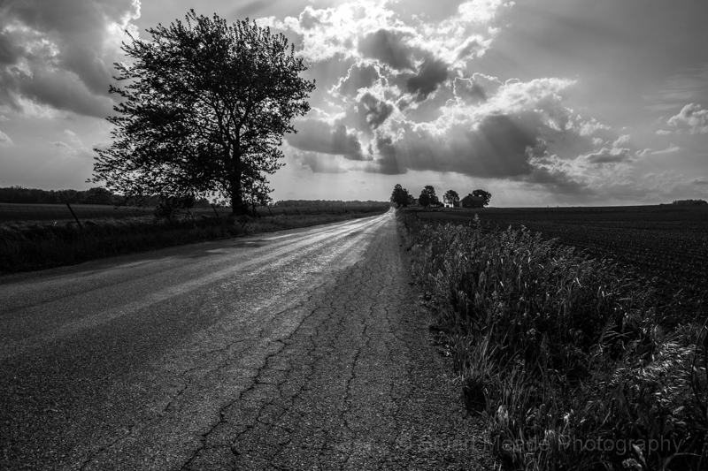 country_road