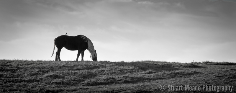 Stuart Meade Photography Goshen Indiana