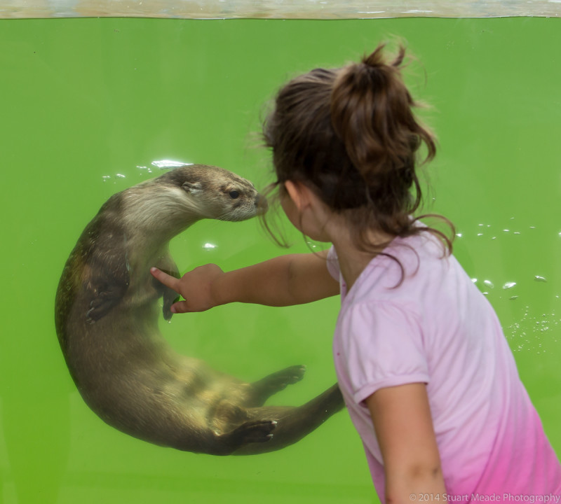 Girl with River Otter