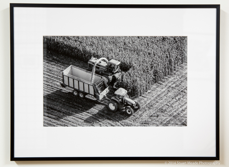 Harvest Print Stuart Meade Photography