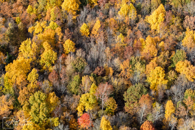 Fall colors aerial photography