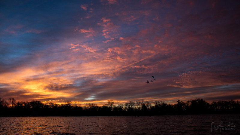 Goshen Sunrise with Swans