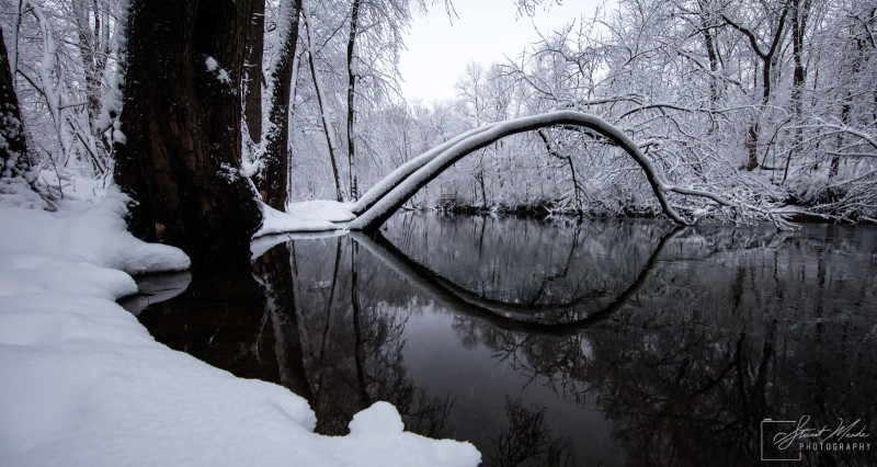 The Elkhart River as it flows through Shoup-Parson's Woods in the city of Goshen.