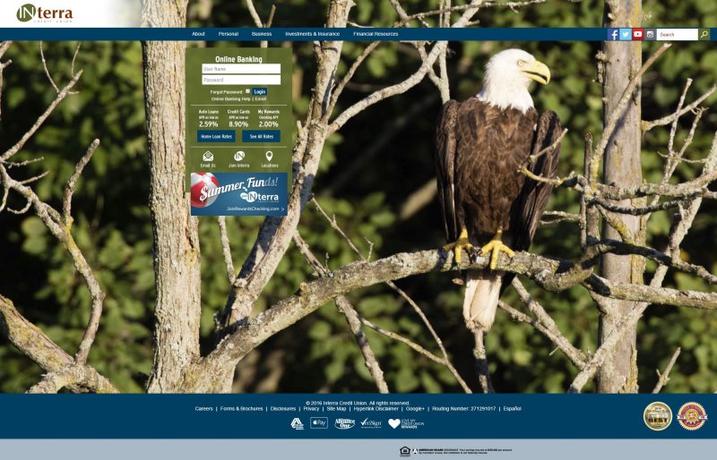 eagle